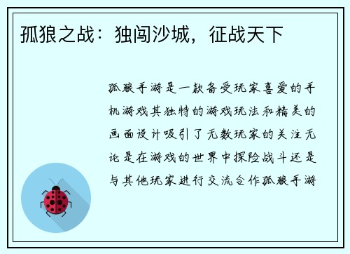 孤狼之战：独闯沙城，征战天下