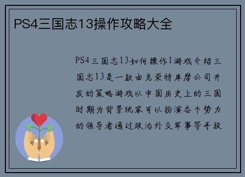 PS4三国志13操作攻略大全