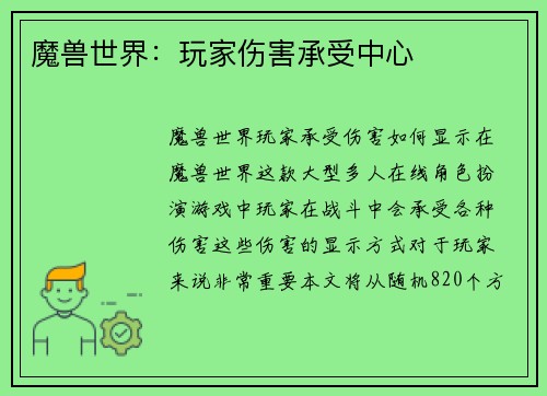 魔兽世界：玩家伤害承受中心